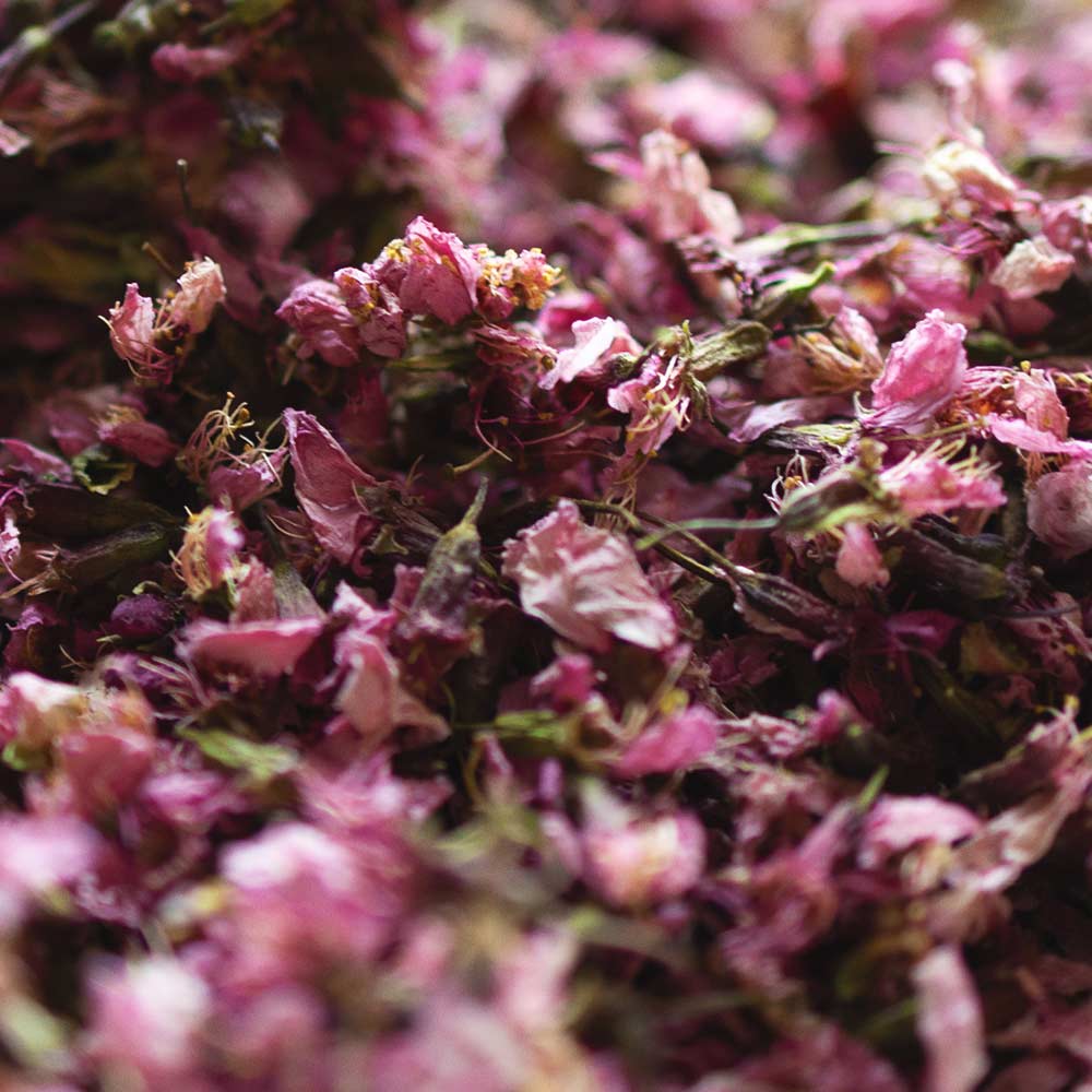 Rare Nepali Cherry Blossom - Image 2
